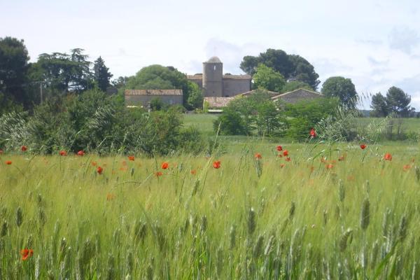 A la foto es mostra l'objecte Mas du Crès situat a la ciutat de Galargues.