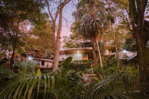 A la foto es mostra l'objecte Serrano Tayrona Lodge situat a la ciutat de El Fénix.