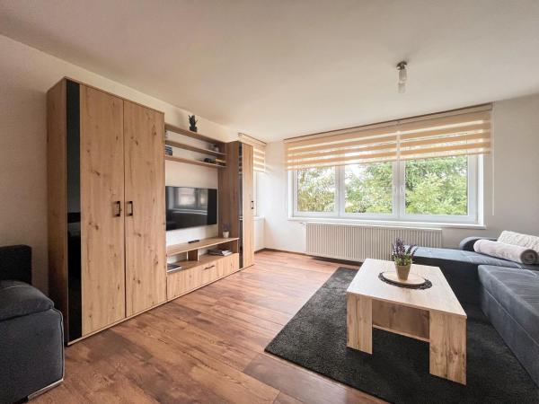 A la foto es mostra l'objecte Apartmány Slavíkov - Superior Apartmán situat a la ciutat de Dolní Radechová.