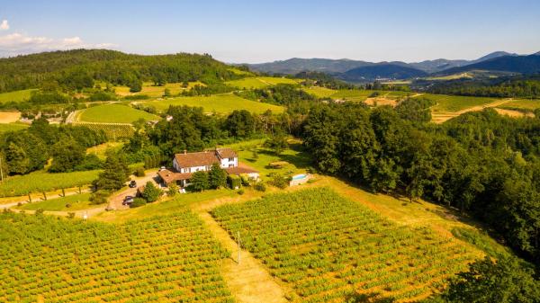 Na fotografii je vidět objekt B&B Il Poggio di Gavi nacházející se ve městě San Cristoforo.