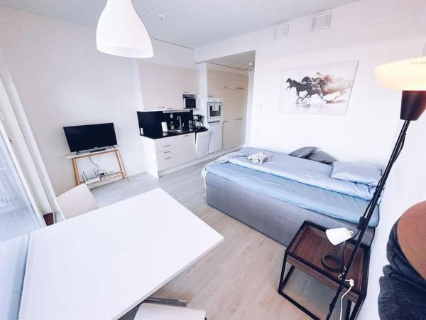 A la foto es mostra l'objecte New Studio Furi near Airport situat a la ciutat de Vantaa.