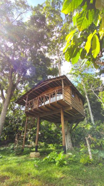 La photo montre l'objet Moradia da Mata situé dans la ville de Ituberá.