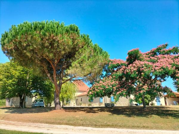 Nella foto è visibile l'oggetto le Pigeonnier gersois situato nella città di Larressingle.