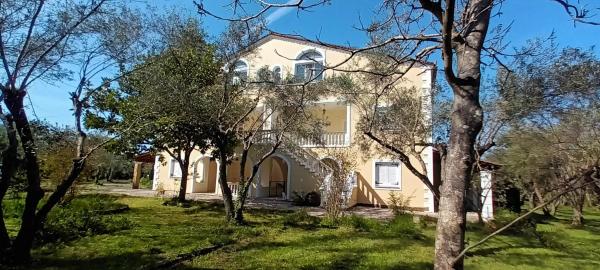 Antonios Olive Garden Acharavi Kerkyra - Kassiopi