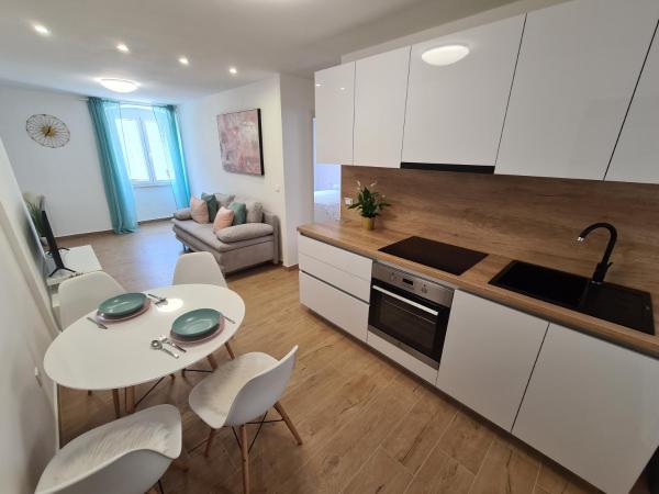 A la foto es mostra l'objecte Apartment Andy situat a la ciutat de Rijeka.