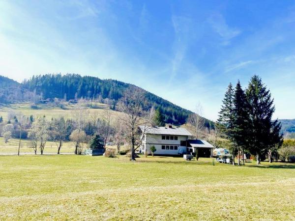A la foto es mostra l'objecte Chalet in Flattnitz near Ski Slopes & Lakes situat a la ciutat de Weitensfeld.