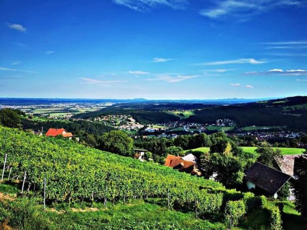 På billedet ses objektet WIEDNERMICHL - Urlaub in den Weinbergen beliggende i byen Lobming.