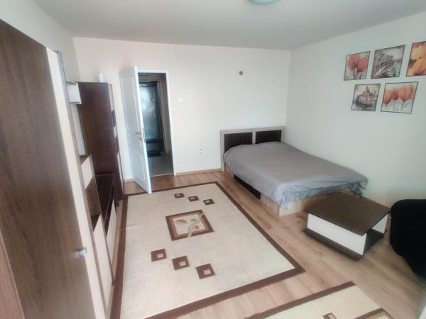写真にはティミショアラ市にあるEric's Cozy Apartmentが写っています。