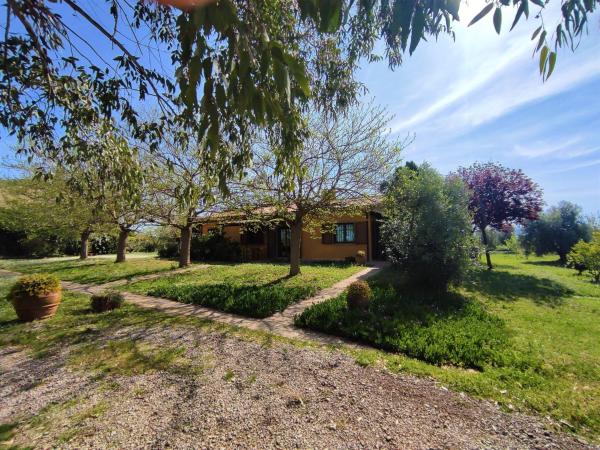 På bilden syns objektet Holiday Home Ovest by Interhome som ligger i staden Castellaccia.