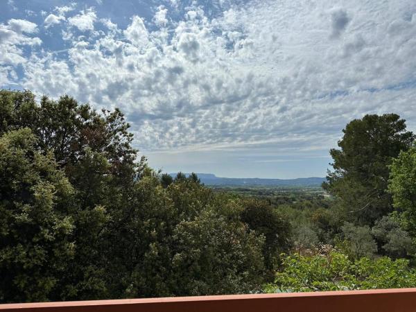 Les Cigales - Luberon
