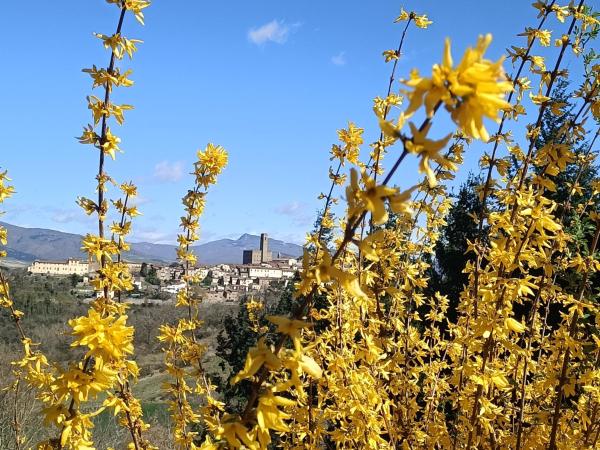 Greenview - Casavacanza - Poppi