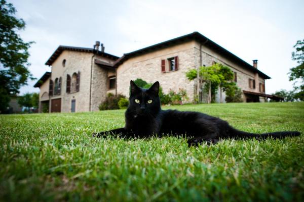 Na fotografii je vidět objekt B&B Costalta nacházející se ve městě Compiano.