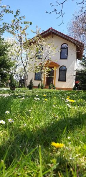 Foto 1: TINY CABIN