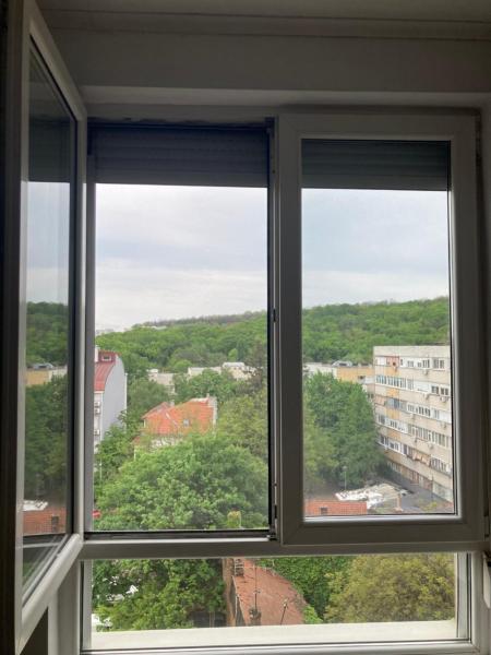 Zdjęcie 9: Forest View