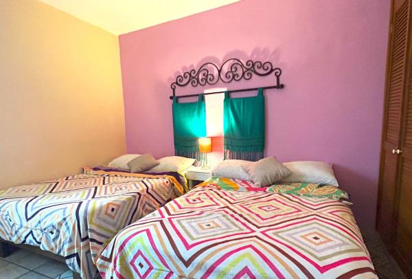 Sofia Hostel Cabo的照片5