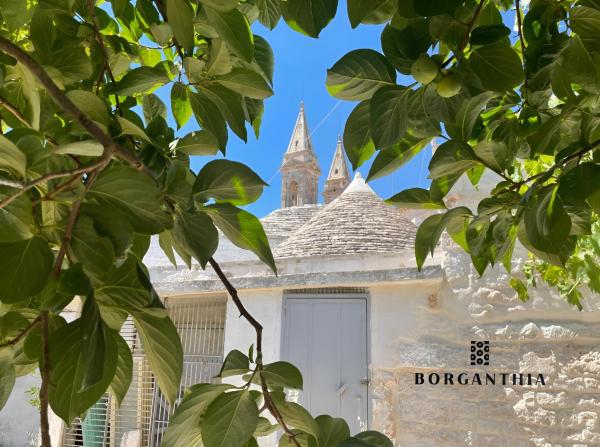 A la foto es mostra l'objecte BORGANTHIA - IL CHIOSTRO DEI MEDICI situat a la ciutat de Alberobello.