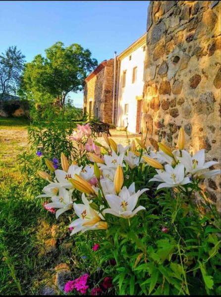 Nella foto è visibile l'oggetto Grand Gîte Confortable en Auvergne - Belle vue situato nella città di Brousse.