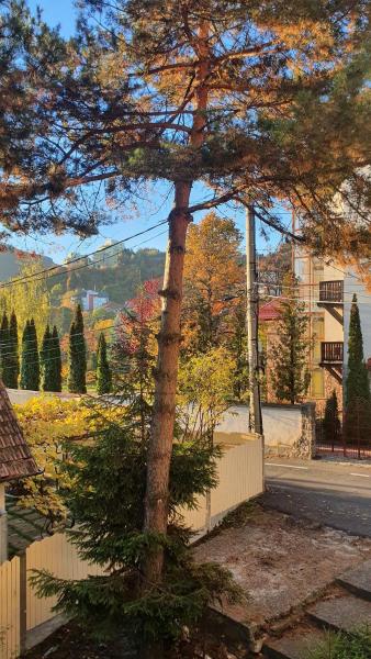 Central Luxury Apartment With City View - Brașov