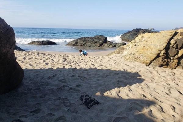 På billedet ses objektet Ixtapa frente al mar beliggende i byen Ixtapa.