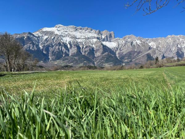A la foto es mostra l'objecte Le hameau du Maissubert situat a la ciutat de Le Glaizil.