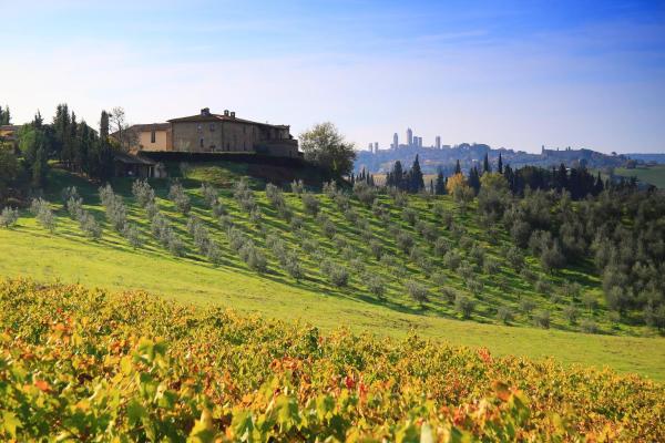 Agriturismo Montegonfoli