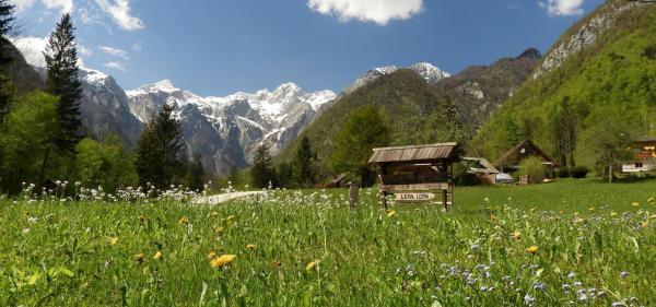 Lepa Lopa Resort - Logarska Dolina