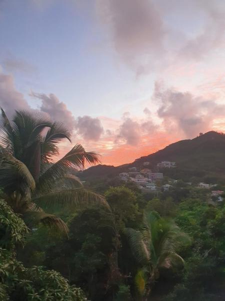 Mountain Apartments, Anse Etoile