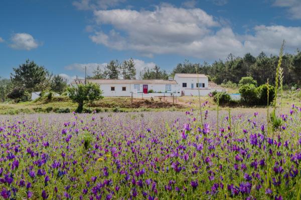Na zdjęciu widoczny jest obiekt Casa Alfambras - Holiday Cottage in Aljezur położony w mieście Chabouco.