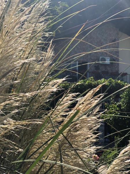 A la foto es mostra l'objecte Skadar Lake Apartment -Karolina situat a la ciutat de Vranjina.