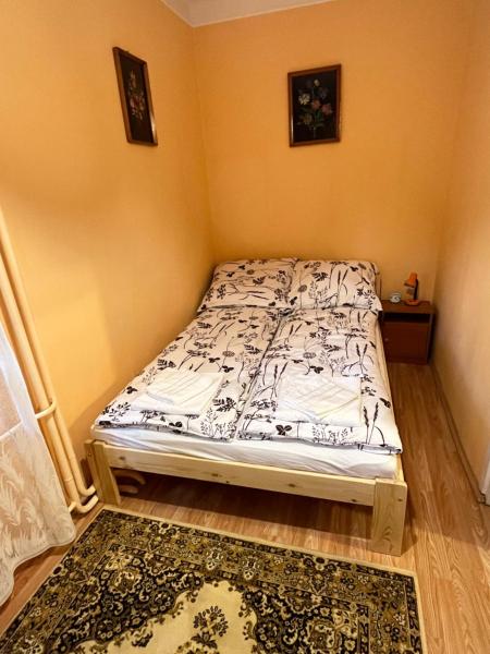 На фото показан объект Vica Apartman, расположенный в городе Mezőcsát.
