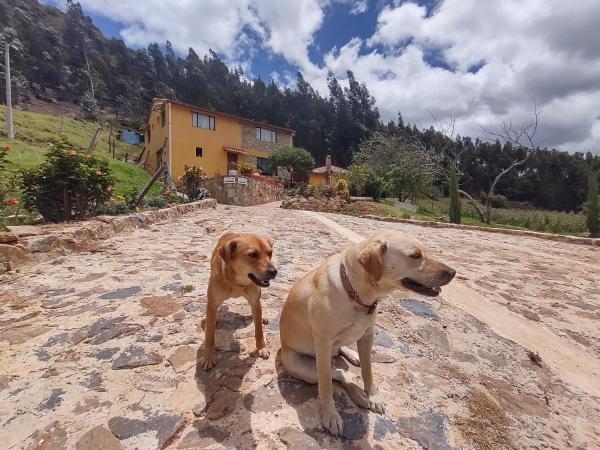 Hostal Villa San Juan - Casanare