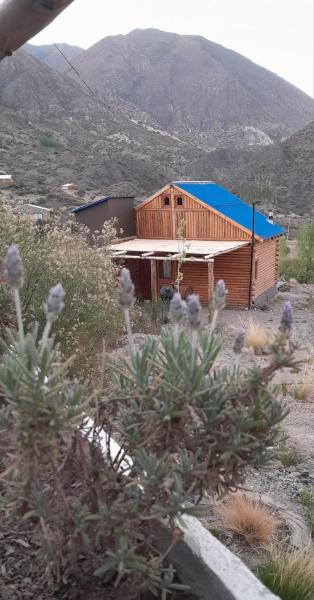 A la foto es mostra l'objecte Cabañas Piquillin Potrerillos Mendoza situat a la ciutat de Potrerillos.