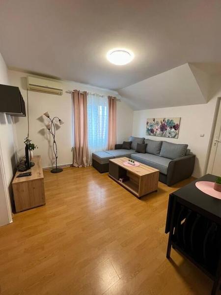 Nella foto è visibile l'oggetto Apartman Flora situato nella città di Novi Grad.
