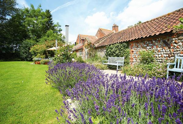 A la foto es mostra l'objecte Pear Tree Cottage Norfolk situat a la ciutat de Little Barningham.