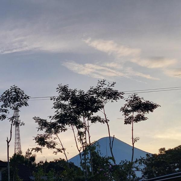 A la foto es mostra l'objecte Homestay Ngaso Dalem situat a la ciutat de Wonosobo.