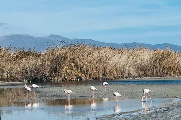 A la foto es mostra l'objecte Sunrise beach home situat a la ciutat de Quartu SantʼElena.