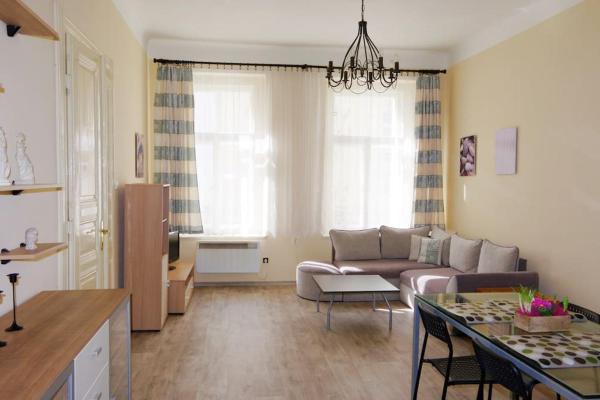 Nice big apartment in the city center, Prague