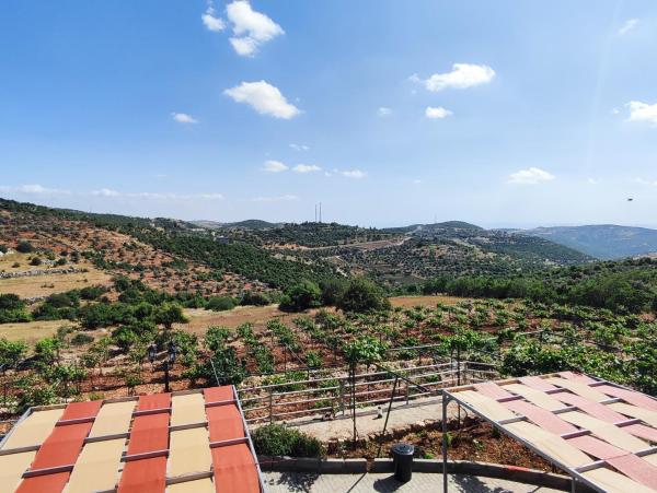 Billede 8: Chalets in the middle of Ajloun forests شاليه و مزرعة في وسط غابات عجلون