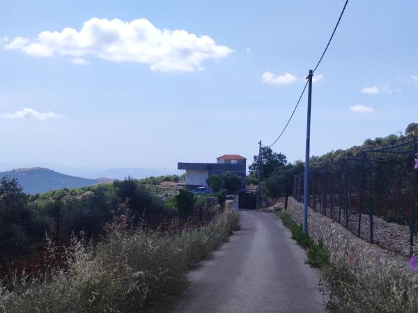 Billede 4: Chalets in the middle of Ajloun forests شاليه و مزرعة في وسط غابات عجلون