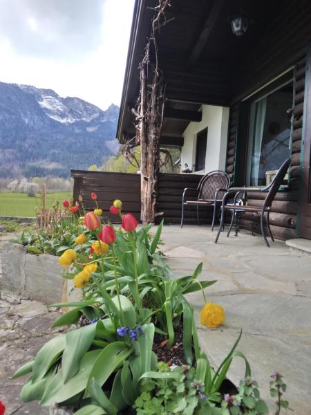 Chalet Scheffsnothの写真4