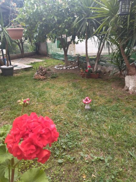 Bild 2: Sofis Garden