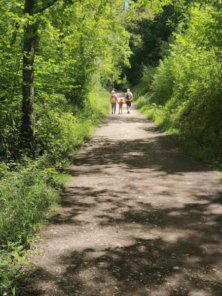 Fotografie 7: Calm & Cosy (sleeps up to 6) - Oakdene Forest Park