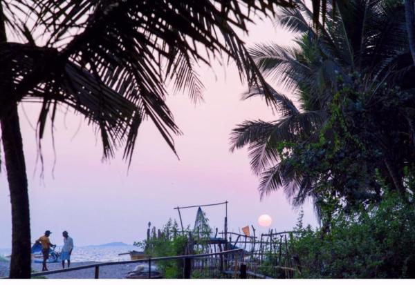 Samant Beach Resort - Maharashtra