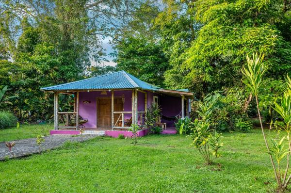 Nella foto è visibile l'oggetto Casa Lavanda in tropical jungle garden situato nella città di Manzanillo.