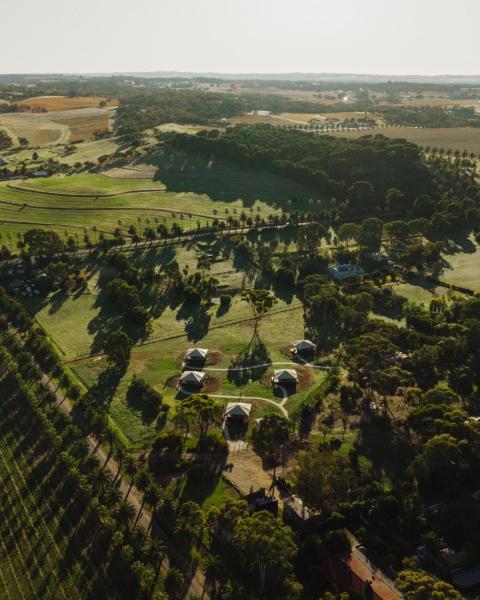 Billede 2: CANVS by CABN Seppeltsfield Barossa