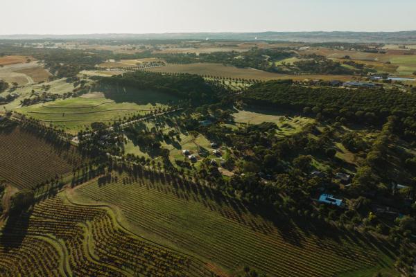 Billede 3: CANVS by CABN Seppeltsfield Barossa