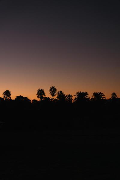 Billede 7: CANVS by CABN Seppeltsfield Barossa