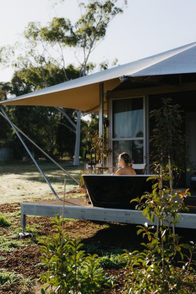 Billede 6: CANVS by CABN Seppeltsfield Barossa