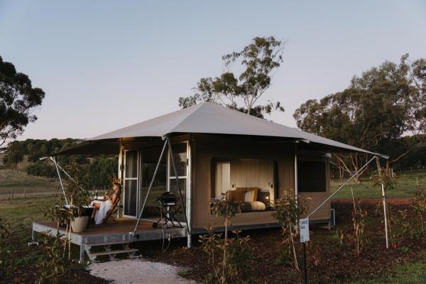 Billede 8: CANVS by CABN Seppeltsfield Barossa