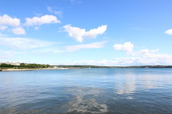 Luca A2 , Apartment In Front Of The Beach - Novigrad